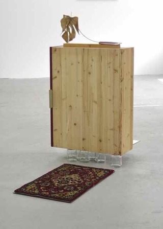 XY, 2015, Holzregal, Karteikarte, Brillenetuis, Pflanzenblatt, Spiegel, Glas, Teppichvorleger, Lack, 90 x 58 x 100 cm