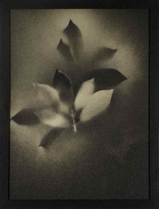 Goldenes Blatt, 2010, Sprühfarbe auf Karton, 43x33cm