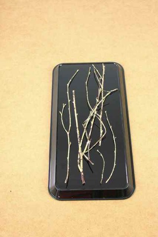 TwigTray, 2015, Zweige auf Plastikschale, 30 x 15 x 3 cm, Detail aus D.I.S. PLAY,  Superdeals Brüssel