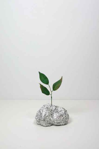 Study In Elevation IV (rise), 2014, Stoffpflanze, Lack, Pappmaschee, Aluminiumfolie, 25 x 17 x 13,5 cm 